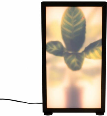 Zuiver Vloerlamp Grow M 60 x 26 x 8, 5